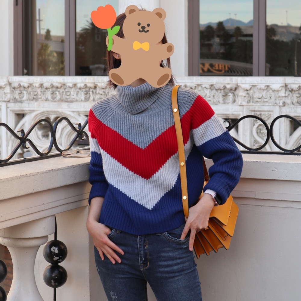 Aritzia Wilfred color block sweater xs